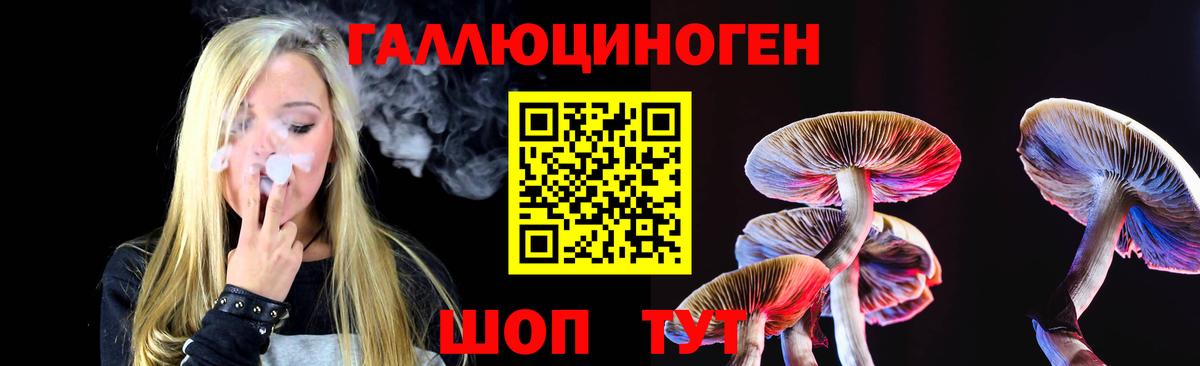 купить  сайты  Вход с VPN  Мирный  Галлюциногенные грибы Cubensis 