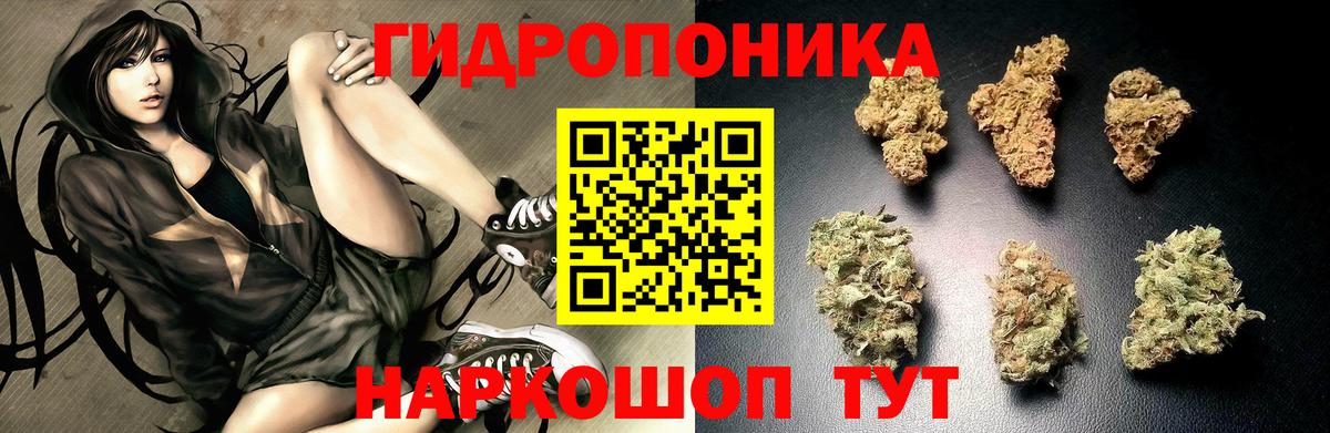 Каннабис SATIVA & INDICA Мирный